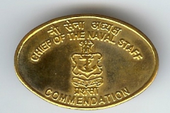 CNS Medal